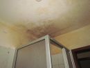 Schimmelpilzbildung an Decke und Wänden in einem Badezimmer, verursacht durch unzureichende Belüftung der Wohnung